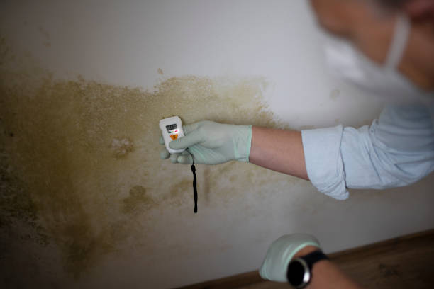 Best Crawl Space Mold Removal  in Highland On The Lake, NY